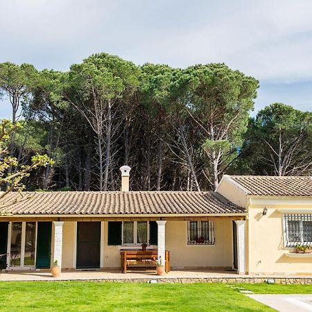 Villa Pine Forest Kompítsion Dış mekan fotoğraf